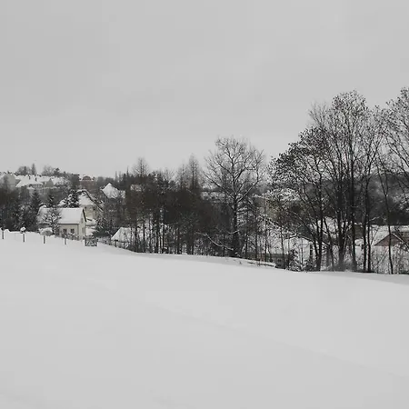 Holiday Samen In Vogtland 1 * Auerbach (Vogtland)